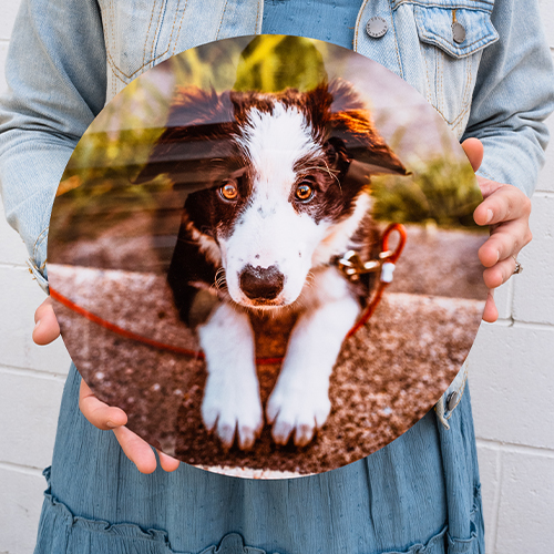 Metal Printing Trends for 2022 Circle Photo Prints